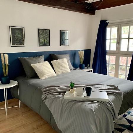Appartement Les Bleuets - Centre Ville De Saumur Kültér fotó