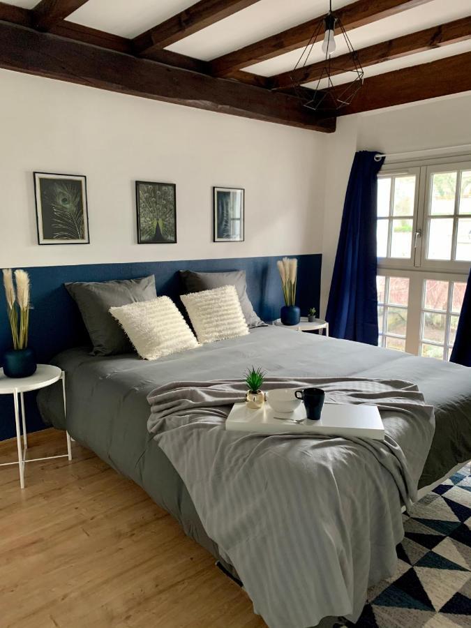 Appartement Les Bleuets - Centre Ville De Saumur Kültér fotó