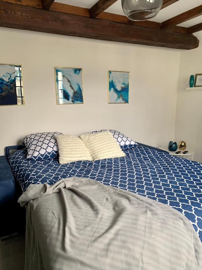 Appartement Les Bleuets - Centre Ville De Saumur Kültér fotó